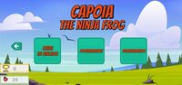 Capoia: The Ninja Frog screenshot, image №3558361 - RAWG