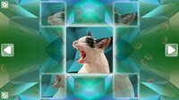 Poly Puzzle: Cats screenshot, image №3114722 - RAWG