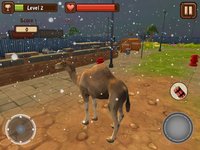 Camel Simulator screenshot, image №2143178 - RAWG