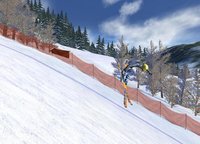 Ski Racing 2006 screenshot, image №436184 - RAWG