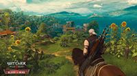 The Witcher 3: Wild Hunt – Blood and Wine screenshot, image №624502 - RAWG