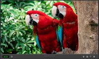 Puzzle Fauna 2022 screenshot, image №3439859 - RAWG