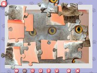 1001 Jigsaw. Cute Cats 4 screenshot, image №3834070 - RAWG