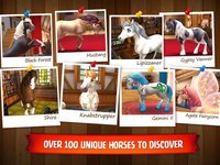 Horse Haven World Adventures screenshot, image №870829 - RAWG