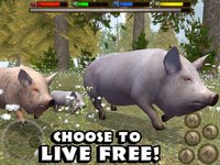 Ultimate Farm Simulator screenshot, image №957329 - RAWG