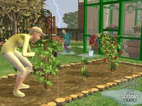 The Sims 2: Seasons screenshot, image №468855 - RAWG