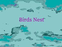 Birds Nest screenshot, image №2152397 - RAWG