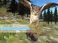 Forest Owl Simulator - Be a wild bird! screenshot, image №1625864 - RAWG