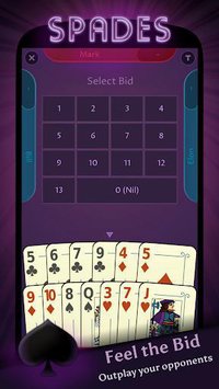 Spades Offline screenshot, image №1410930 - RAWG