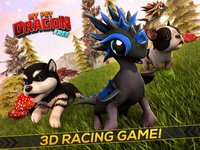 My Baby Pet Dragon: The Little Run vs Puppies screenshot, image №1762335 - RAWG