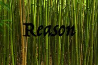 Reason (Scott McCreevey) screenshot, image №1280504 - RAWG