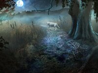 Shiver: Moonlit Grove screenshot, image №2402277 - RAWG