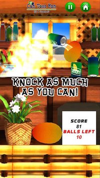 Can Toss Fun - Hit & Smash 3D screenshot, image №1586173 - RAWG