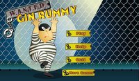 Gin Rummy Free screenshot, image №1517485 - RAWG