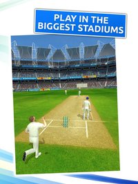 Cricket Megastar screenshot, image №1811842 - RAWG