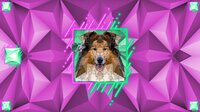 Poly Jigsaw: Dogs screenshot, image №3886018 - RAWG