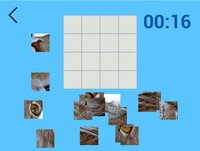 Ultimate Puzzles: Animals 2 screenshot, image №2695888 - RAWG