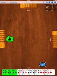 Pinochle Plus screenshot, image №947943 - RAWG