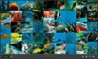 Animals Of The World screenshot, image №3311962 - RAWG