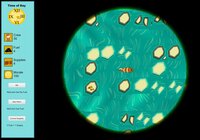 Sail through Ice screenshot, image №3580262 - RAWG