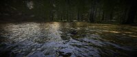Animal Simulator screenshot, image №3133001 - RAWG