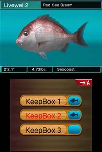 Reel Fishing Paradise 3D - release date, videos, screenshots, reviews on  RAWG