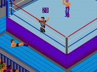 Fire Pro Wrestling Combination Tag screenshot, image №3943750 - RAWG