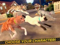 Running Cats - Survive The Free Kitty Cat Simulator screenshot, image №1762187 - RAWG