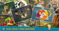 Jigsaw Puzzle Crown - Classic Jigsaw Puzzles screenshot, image №1523641 - RAWG