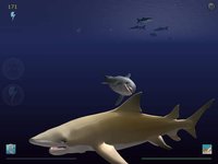Shark Eaters: Rise of the Dolphins screenshot, image №4683 - RAWG