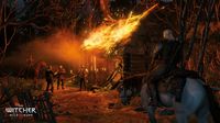 The Witcher 3: Wild Hunt screenshot, image №142217 - RAWG