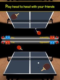 iPingpong 3D screenshot, image №2112467 - RAWG