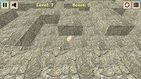 Maze Master screenshot, image №4131765 - RAWG