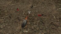 Bombardier Beetle screenshot, image №3028925 - RAWG