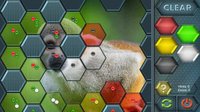 HexLogic - Zoo screenshot, image №1529532 - RAWG