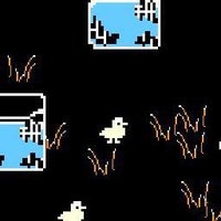 Duck Adventure With Friends screenshot, image №1901051 - RAWG
