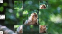 Puzzle Art: Primates screenshot, image №3076697 - RAWG