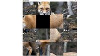 hgmGame-fox screenshot, image №4200494 - RAWG
