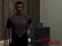 Shady Brook screenshot, image №419928 - RAWG