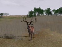 Deer Hunter 2004 screenshot, image №356757 - RAWG