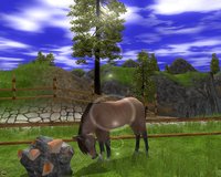 Wildlife Park 2: Horses screenshot, image №493900 - RAWG