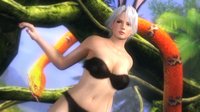 Dead or Alive 5 screenshot, image №584941 - RAWG