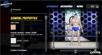 CHIKARA: AAW Wrestle Factory screenshot, image №2187093 - RAWG