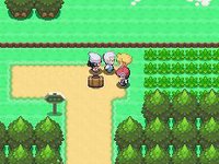 Pokémon Diamond, Pearl screenshot, image №1865360 - RAWG