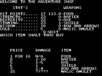 Akalabeth: World of Doom screenshot, image №226100 - RAWG