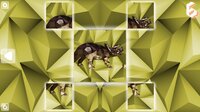 Poly Puzzle: Dinosaurs screenshot, image №3610139 - RAWG