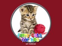 funny cats for kids - free game screenshot, image №1669789 - RAWG