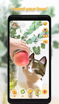 Meow! - AR Cat&Your Mini Pet screenshot, image №1310898 - RAWG