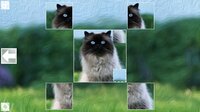 Puzzle Art: Cats screenshot, image №3051757 - RAWG