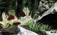 Empty Nest (GGJ '18) screenshot, image №1819763 - RAWG